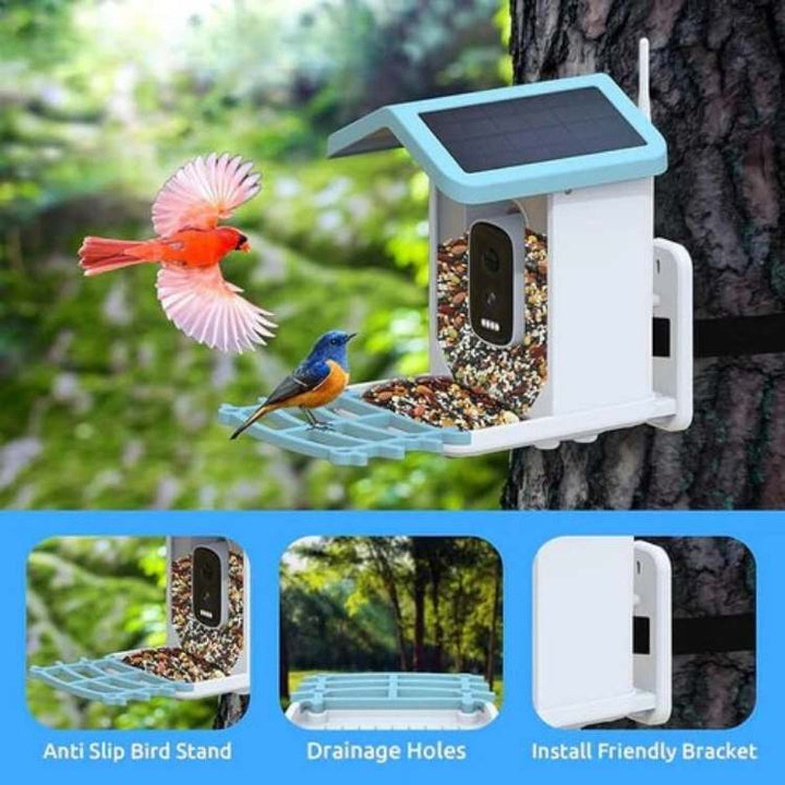 "Outdoor smart solar camera bird feeder with HD video, green roof, and transparent sides, showing bird feed inside."