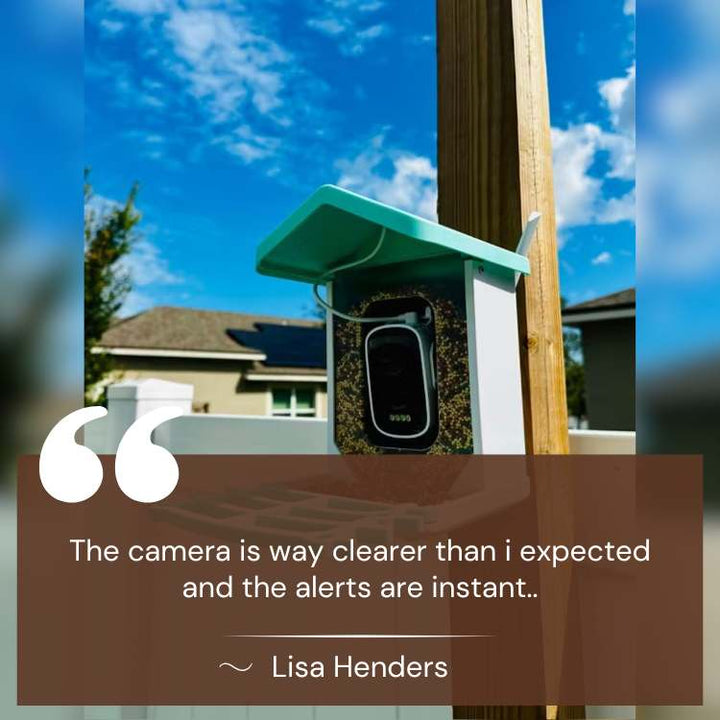 "Outdoor smart solar camera bird feeder with HD video, green roof, and transparent sides, showing bird feed inside."