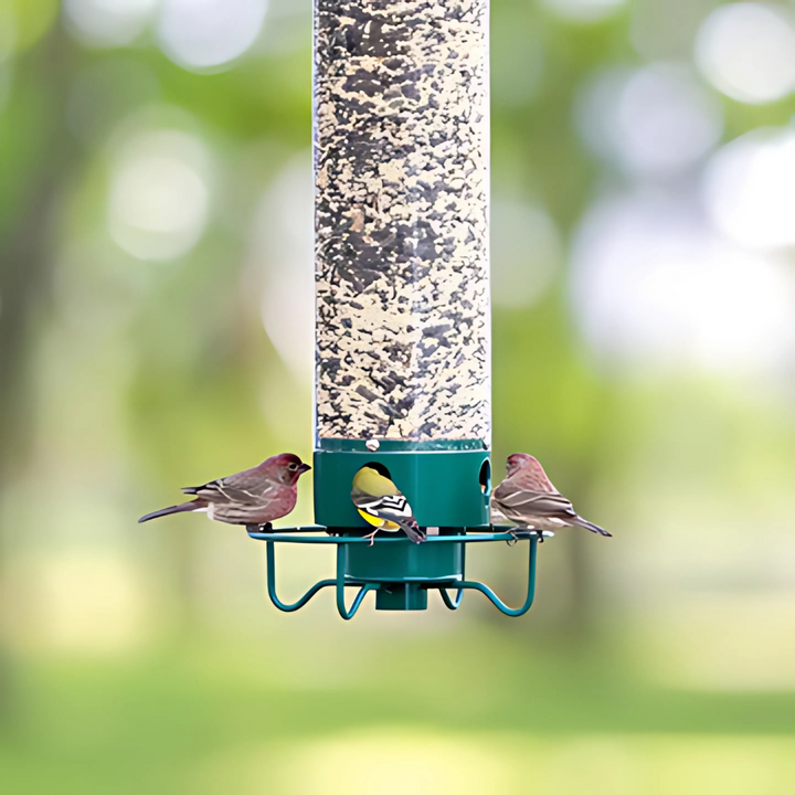 Outdoor squirrel-proof bird feeder with spinning perch, durable metal design, prevents squirrel access, large seed capacity.