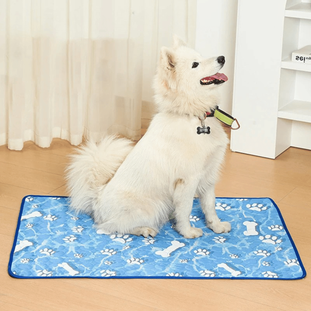 "Pale blue pet cooling mat on beige sofa provides comfort for dogs and cats during summer, featuring self-cooling ice silk fa