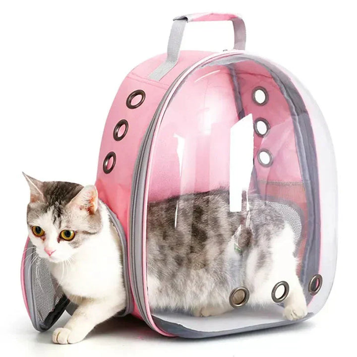 "Pet carrier with 360° view, transparent front, mesh windows, ergonomic straps; gray, green, pink, black options."