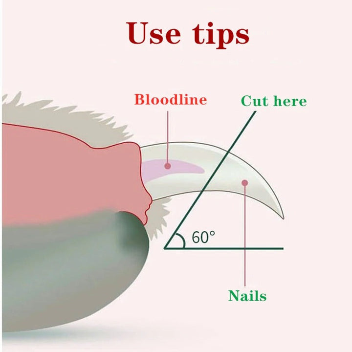 "Pet nail clipper with LED light, stainless steel blades, ergonomic handle; ideal for precise grooming of small pets."