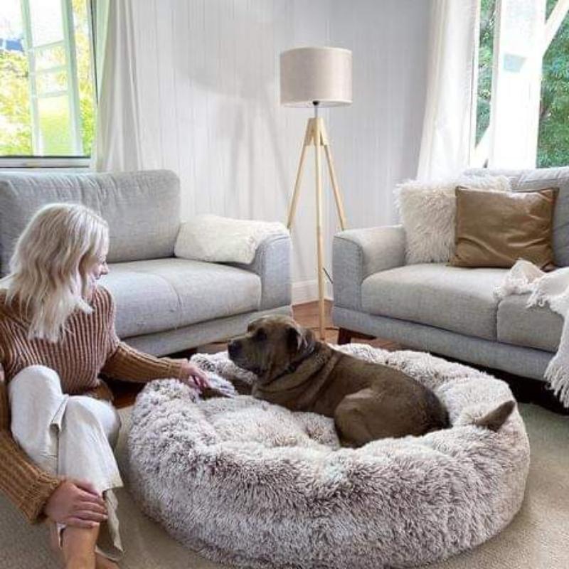 "Plush apricot donut dog bed, anxiety-relieving, round with raised rim, faux fur, for dogs to curl up comfortably."