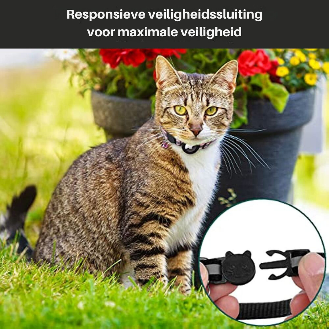 Reflective cat GPS tracker collar with quick release and durable nylon, designed for safety and night visibility.