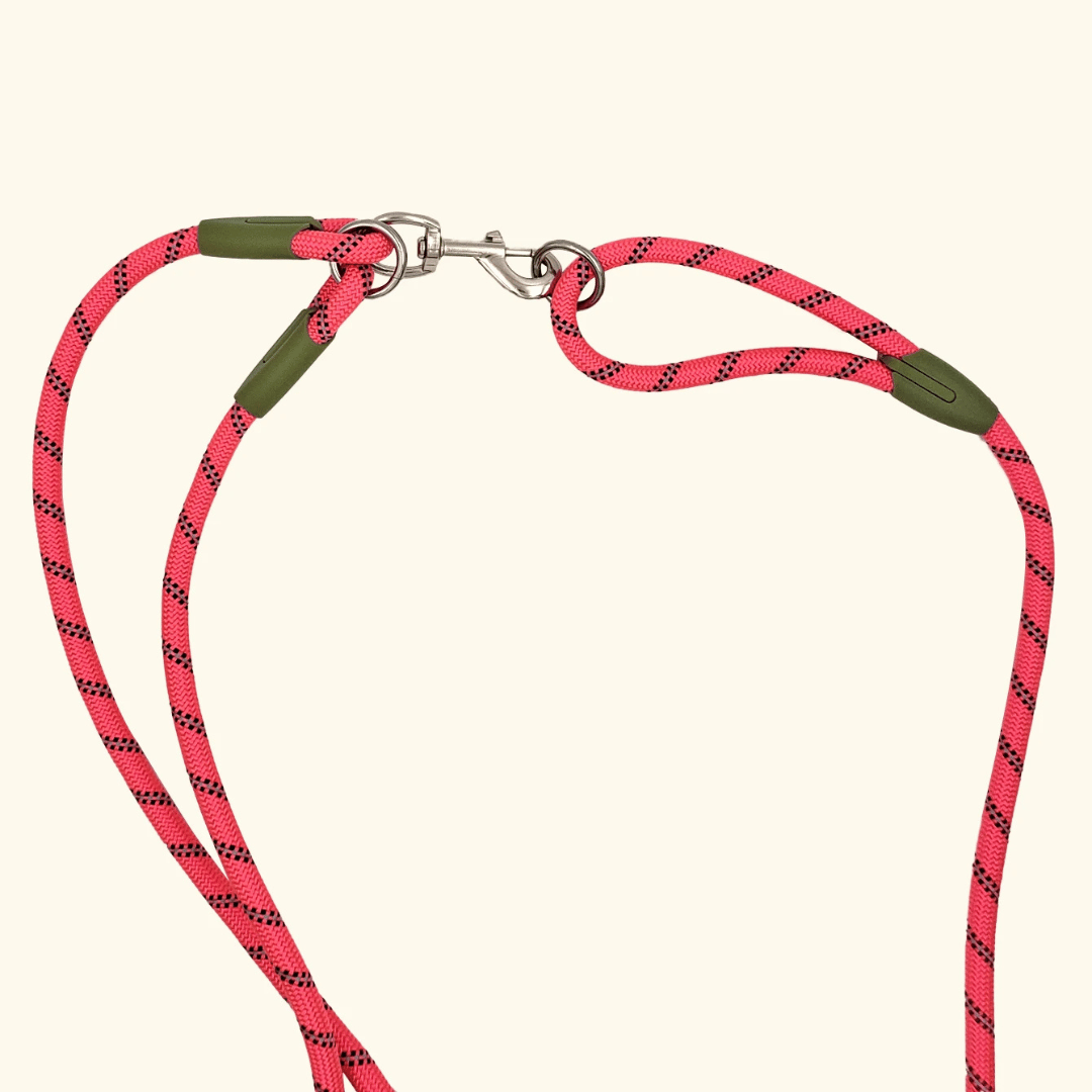 Reflective hands-free dog leash with bungee rope for running, ideal for large dogs; shown wrapped around waist.