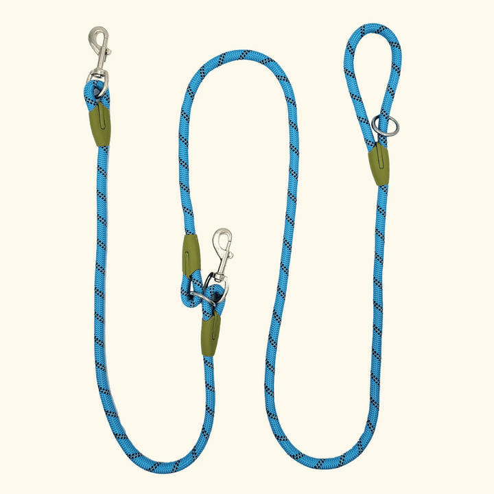 Reflective hands-free dog leash with bungee rope for running, ideal for large dogs; shown wrapped around waist.