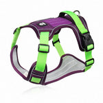 Purple & Green