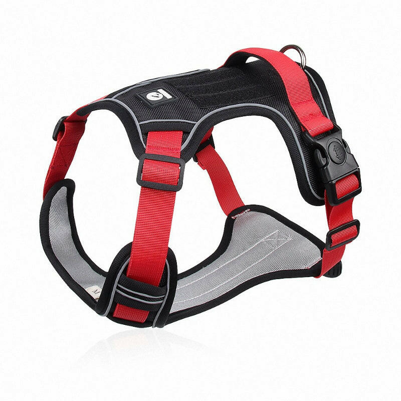 Reflective no-pull dog harness with handle, adjustable straps, and metal D-ring; visible and safe for night walks.
