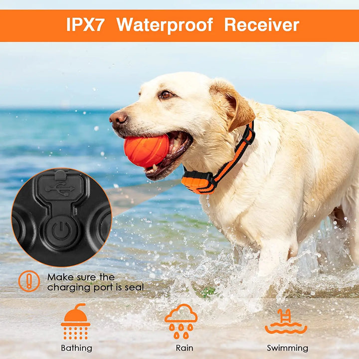 "Remote for 5-level adjustable dog training collar, black with LCD screen and buttons, for controlling training modes."