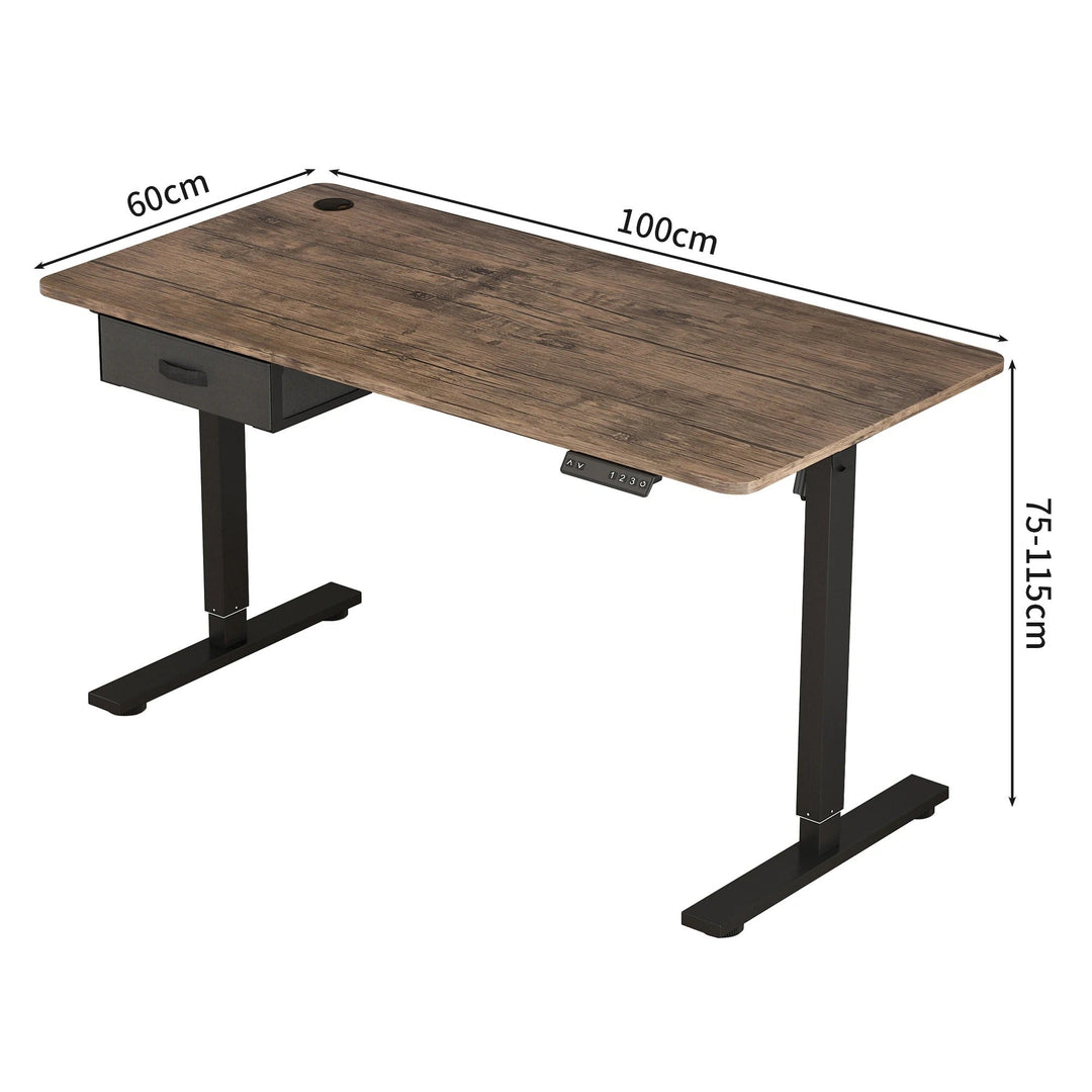 "Sleek adjustable electric standing desk with spacious drawer, USB ports; suits sitting/standing positions in home office."