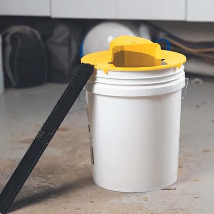 "SmartCatch hands-free mouse trap, automatic reset, child-safe, durable plastic, compact design, rodent control solution."