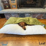 Leaf