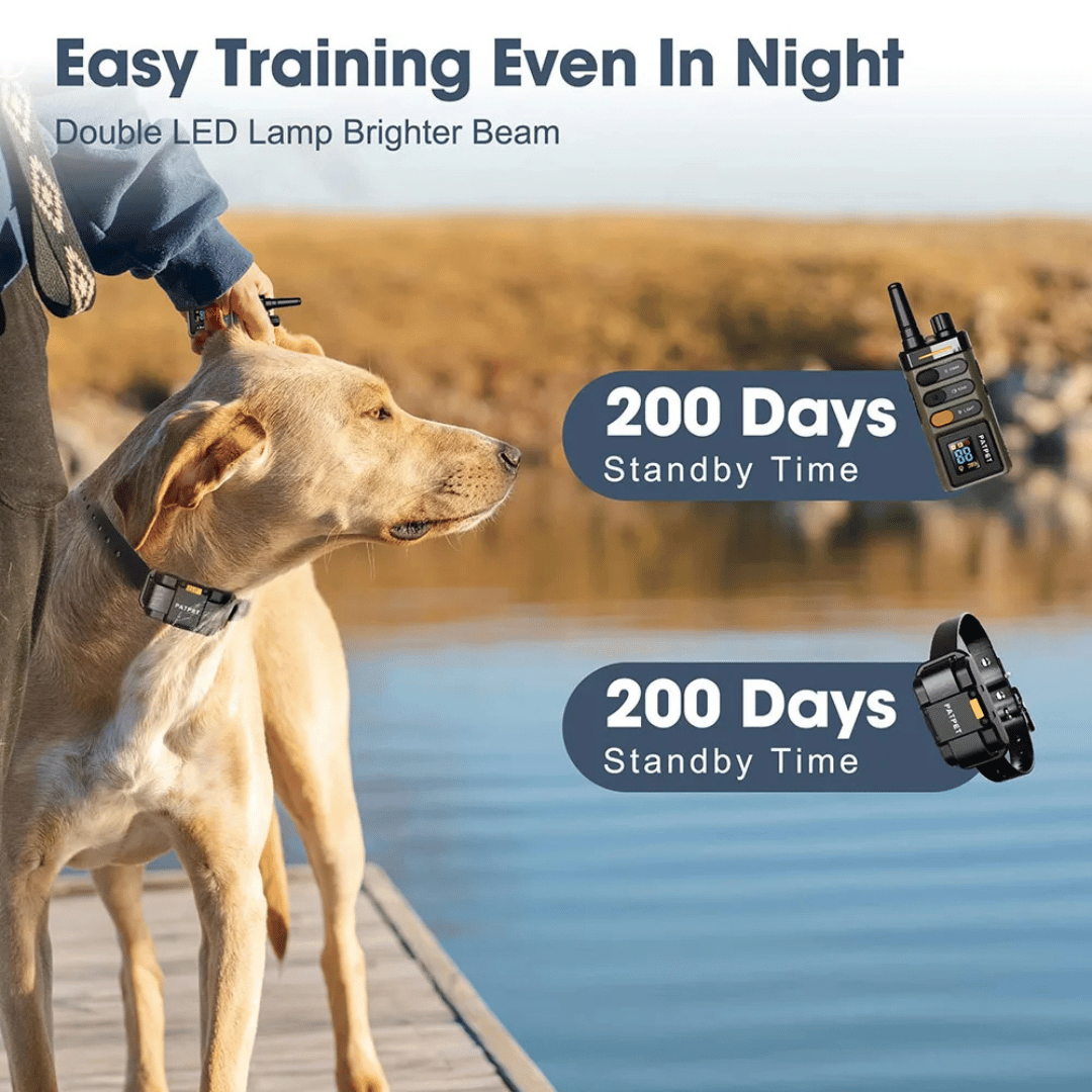 "Sturdy waterproof large dog training collar with 1 mile remote range, ideal for big breeds, shown in outdoor setting"