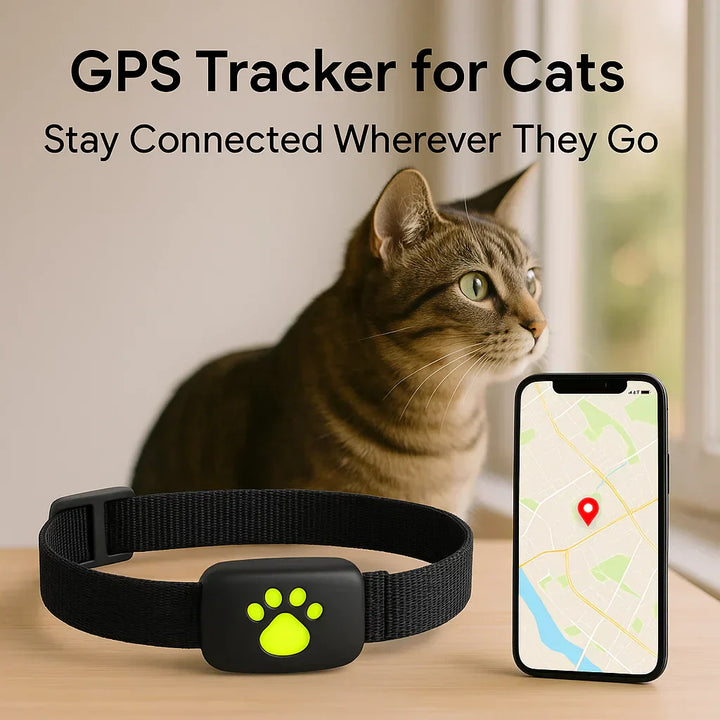 Waterproof GPS cat tracker with real-time location, white, attached to a collar, ideal for pet safety and comfort.