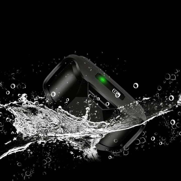Waterproof rechargeable e-collar for dog training, black strap, remote control, fits all sizes, for outdoor use, pet supplies
