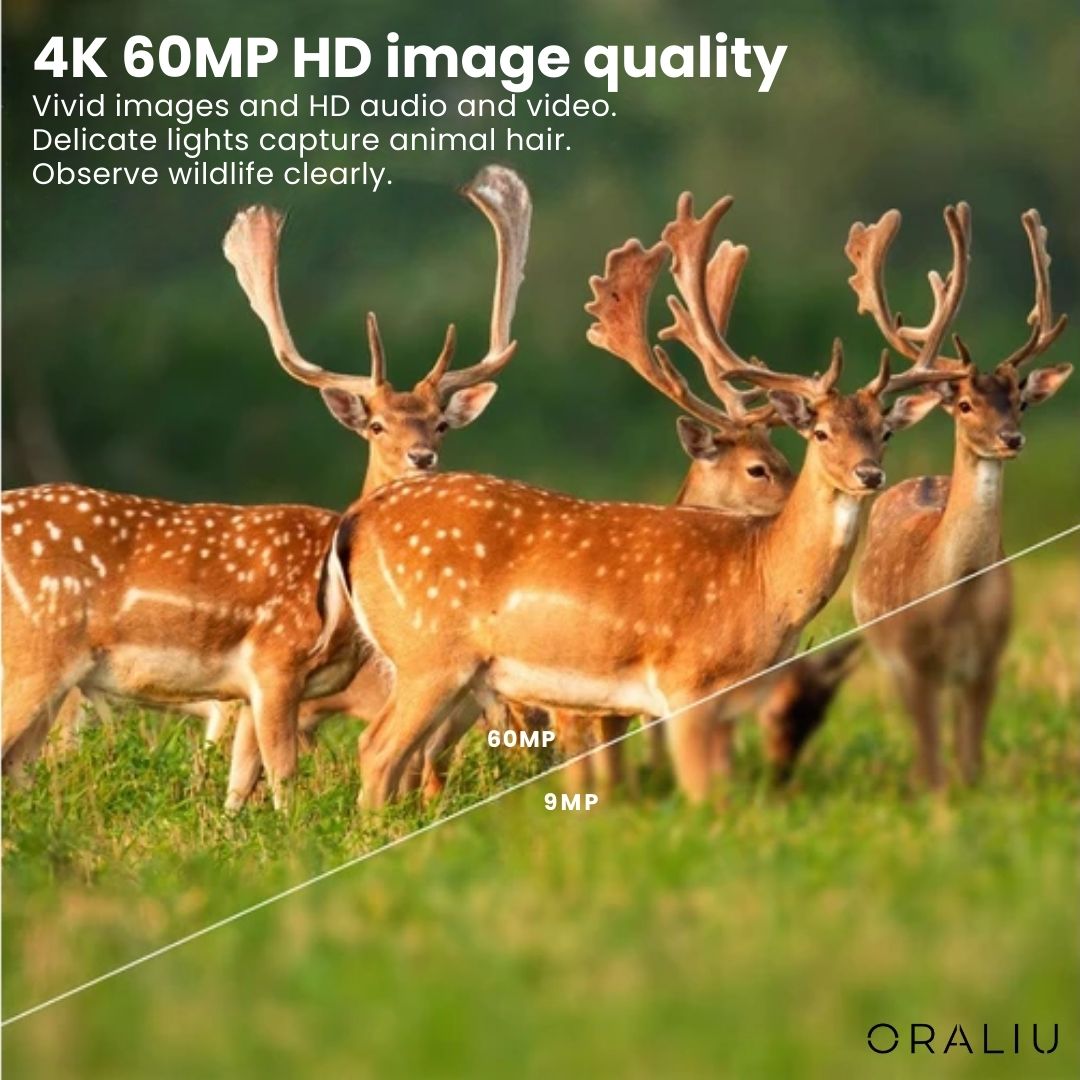 Wildlife camera with 4K video, 60MP photos, infrared night vision, weatherproof design, and app control for nature photograph